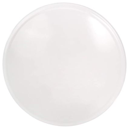 LED Stropní svítidlo LED/17W/230V