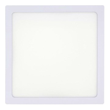 LED Stropní svítidlo LED/18W/230V 2700K 21x21 cm bílá