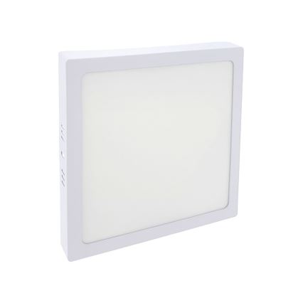 LED Stropní svítidlo LED/18W/230V 2700K 21x21 cm bílá