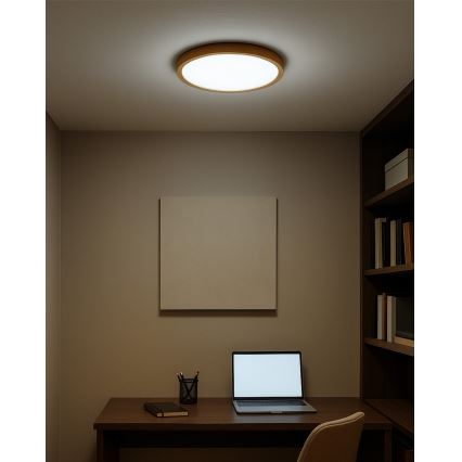 LED Stropní svítidlo LED/18W/230V 3000/4000/6500K pr. 23 cm béžová