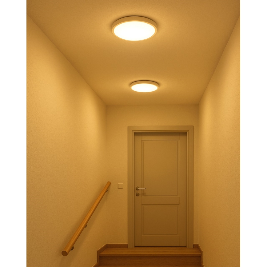 LED Stropní svítidlo LED/18W/230V 3000/4000/6500K pr. 23 cm bílá