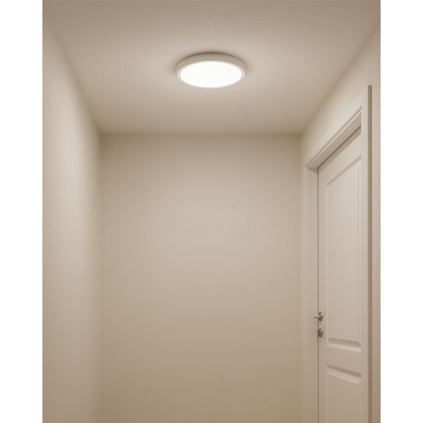 LED Stropní svítidlo LED/18W/230V 3000/4000/6500K pr. 23 cm bílá