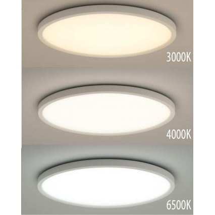 LED Stropní svítidlo LED/18W/230V 3000/4000/6500K pr. 23 cm bílá