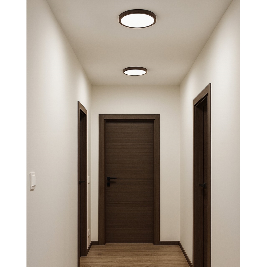 LED Stropní svítidlo LED/18W/230V 3000/4000/6500K pr. 23 cm hnědá