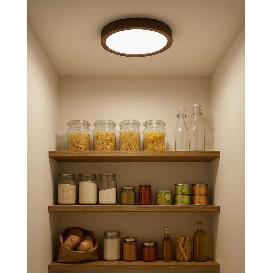 LED Stropní svítidlo LED/18W/230V 3000/4000/6500K pr. 23 cm hnědá