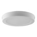 LED Stropní svítidlo LED/18W/230V 3000K pr. 21,5 cm bílá