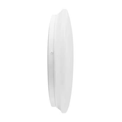 LED Stropní svítidlo LED/18W/230V 3000K pr. 300 mm