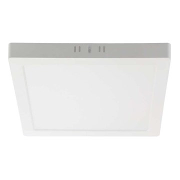 LED Stropní svítidlo LED/18W/230V 4000K 21,4x,21,4 cm bílá