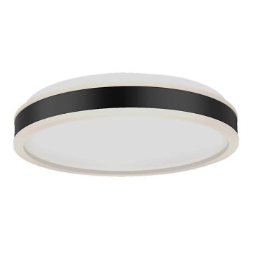 LED Stropní svítidlo LED/18W/230V 4000K černá