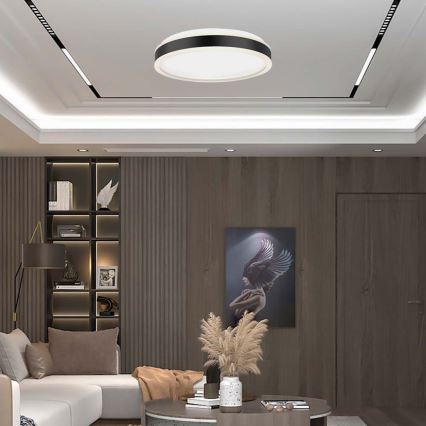 LED Stropní svítidlo LED/18W/230V 4000K černá