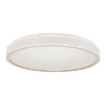 LED Stropní svítidlo LED/18W/230V 4000K pr. 35 cm bílá