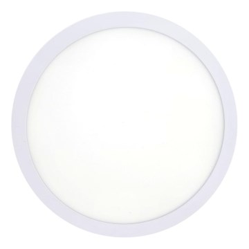 LED Stropní svítidlo LED/18W/230V 4200K pr. 21 cm bílá