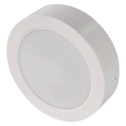 LED Stropní svítidlo LED/18W/230V pr. 17 cm bílá