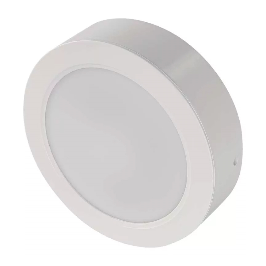 LED Stropní svítidlo LED/18W/230V pr. 17 cm bílá