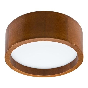 LED Stropní svítidlo LED/21W/230V