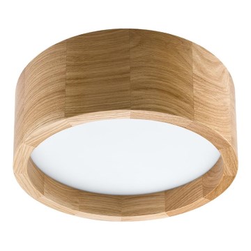 LED Stropní svítidlo LED/21W/230V