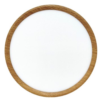 LED Stropní svítidlo LED/24W/230V 3000/4000/6500K pr. 30 cm béžová