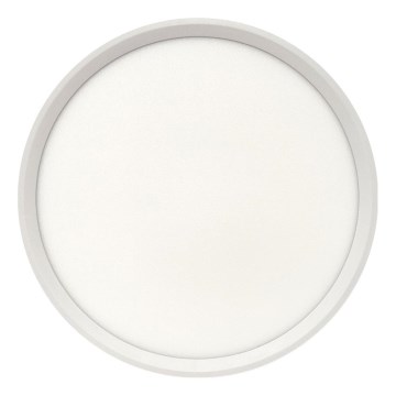 LED Stropní svítidlo LED/24W/230V 3000/4000/6500K pr. 30 cm bílá