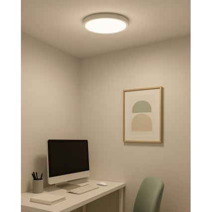 LED Stropní svítidlo LED/24W/230V 3000/4000/6500K pr. 30 cm bílá