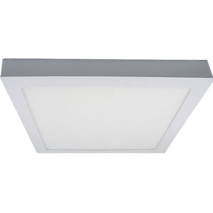 LED Stropní svítidlo LED/24W/230V 3000K