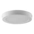 LED Stropní svítidlo LED/24W/230V 3000K pr. 28,8 cm