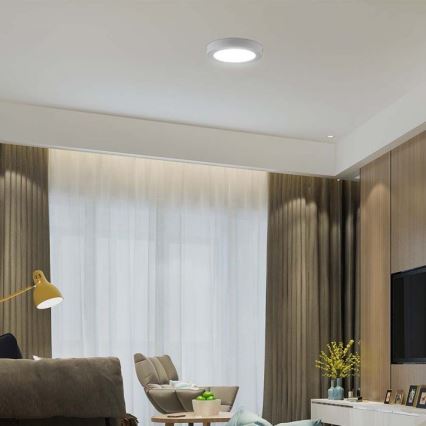LED Stropní svítidlo LED/24W/230V 3000K pr. 28,8 cm