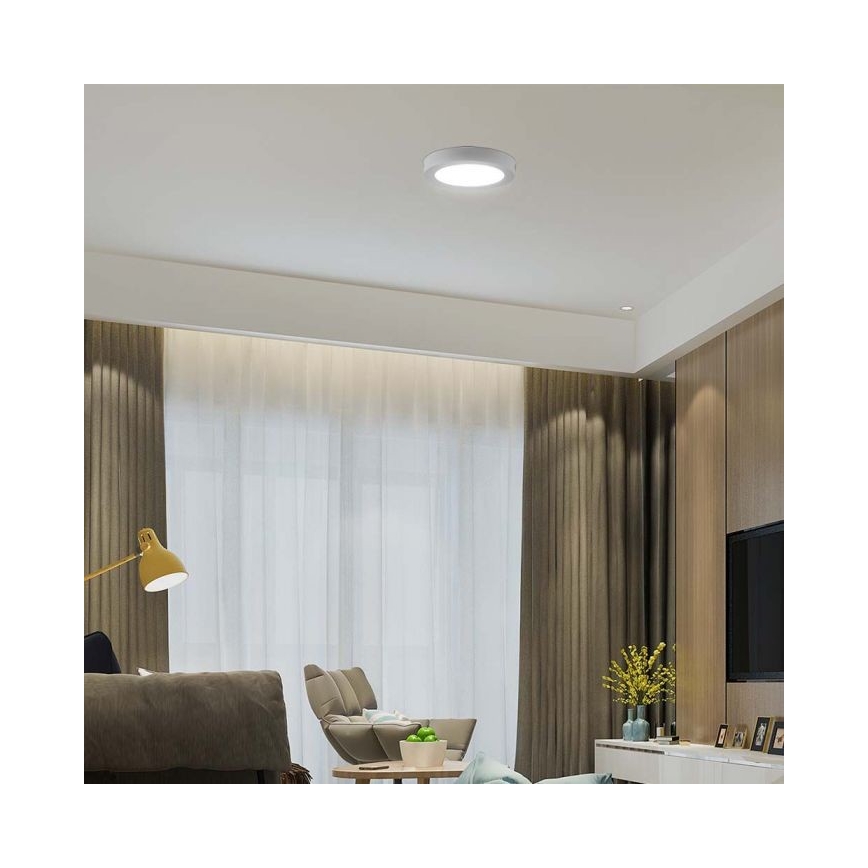 LED Stropní svítidlo LED/24W/230V 3000K pr. 28,8 cm