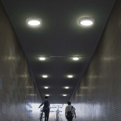 LED Stropní svítidlo LED/24W/230V 3000K pr. 28,8 cm