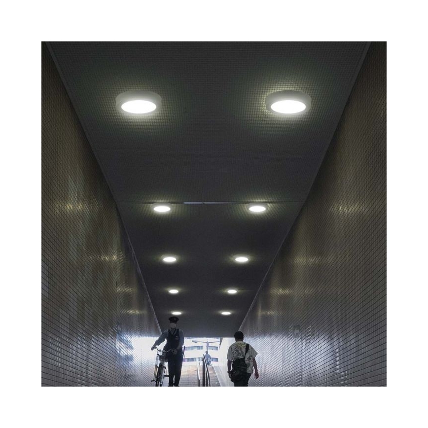 LED Stropní svítidlo LED/24W/230V 3000K pr. 28,8 cm