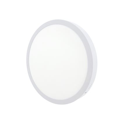 LED Stropní svítidlo LED/24W/230V 4200K pr. 28,5 cm bílá