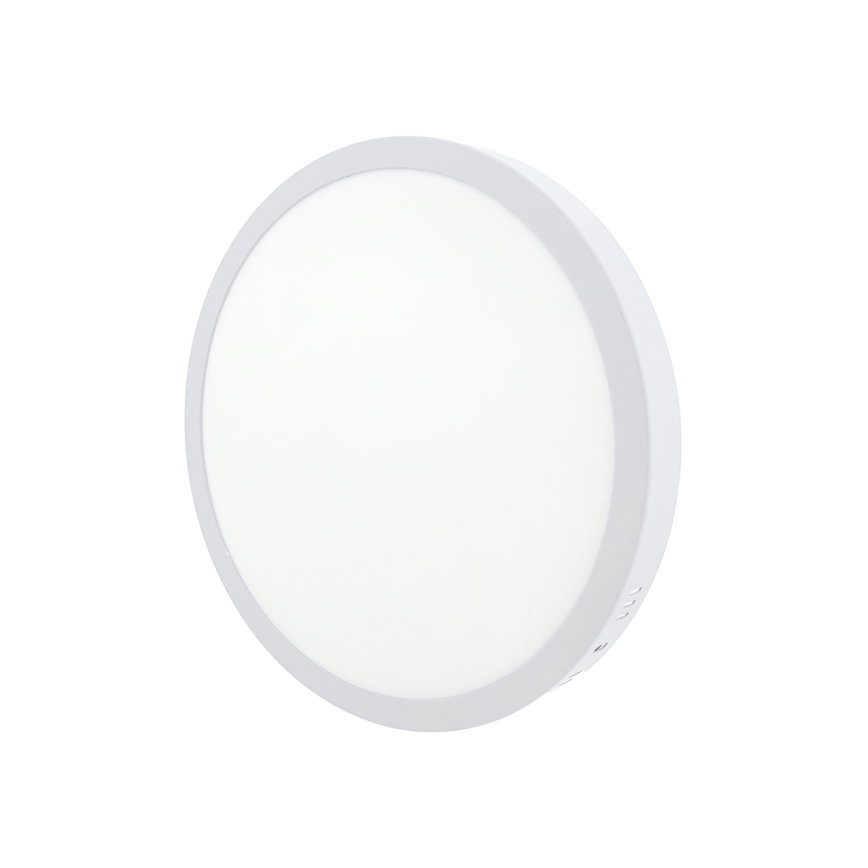 LED Stropní svítidlo LED/24W/230V 4200K pr. 28,5 cm bílá