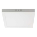 LED Stropní svítidlo LED/24W/230V 6500K 28,7x28,7 cm bílá