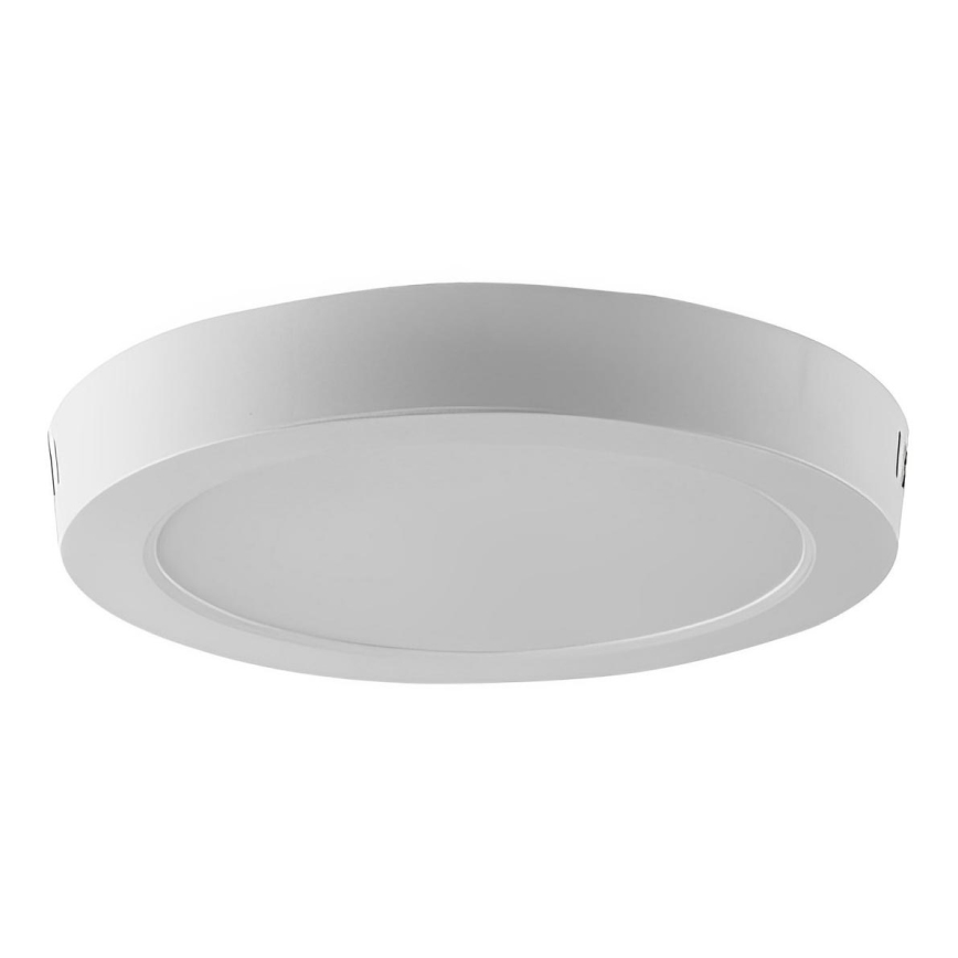 LED Stropní svítidlo LED/24W/230V 6500K pr. 28,8 cm