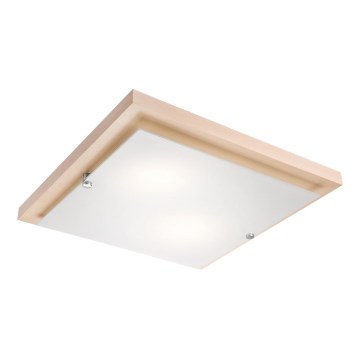LED Stropní svítidlo LED/24W/230V buk