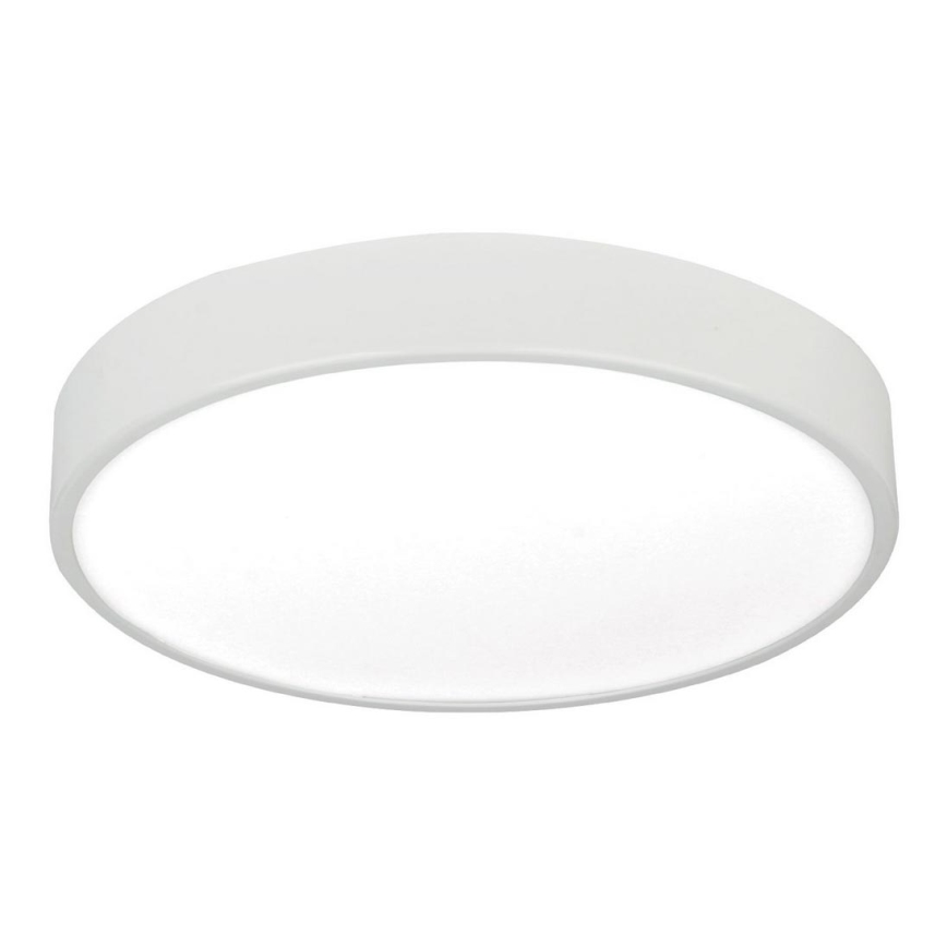 LED Stropní svítidlo LED/24W/230V