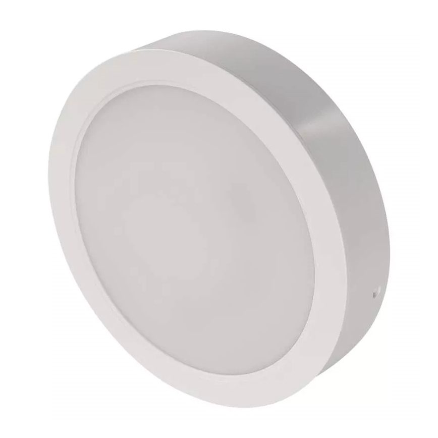 LED Stropní svítidlo LED/24W/230V pr. 22 cm bílá