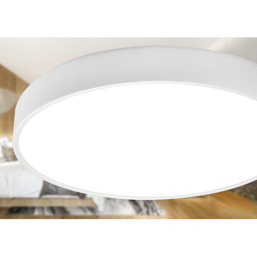 LED Stropní svítidlo LED/30W/230V 4000K pr. 30 cm bílá