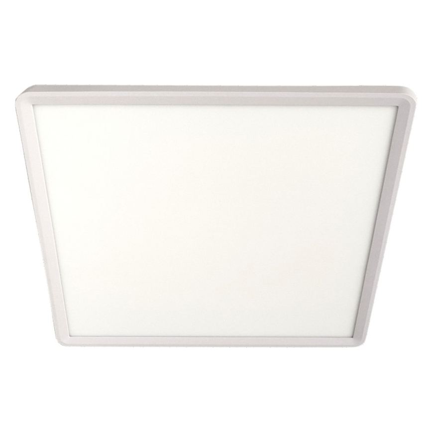 LED Stropní svítidlo LED/32W/230V 3000/4000/6500K 40x40 cm bílá