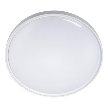 LED Stropní svítidlo LED/36W/230V pr. 40 cm bílá