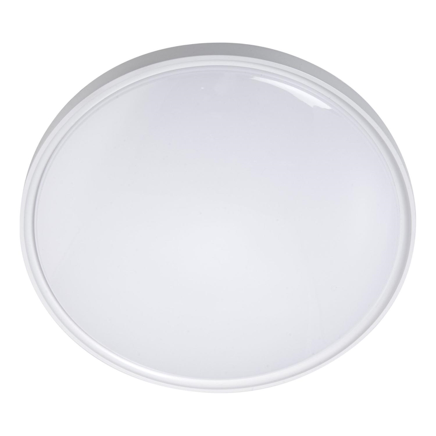 LED Stropní svítidlo LED/36W/230V pr. 40 cm bílá