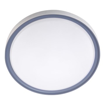 LED Stropní svítidlo LED/36W/230V pr. 40 cm bílá/šedá