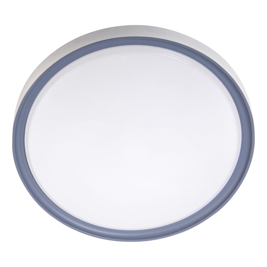 LED Stropní svítidlo LED/36W/230V pr. 40 cm bílá/šedá