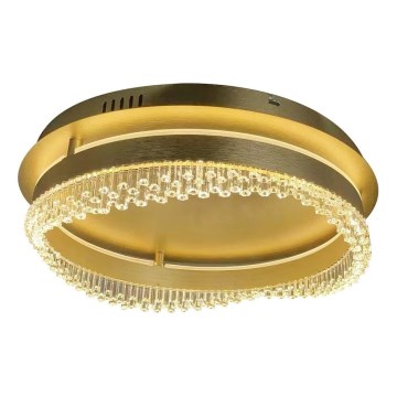 LED Stropní svítidlo LED/36W/230V pr. 43 cm zlatá