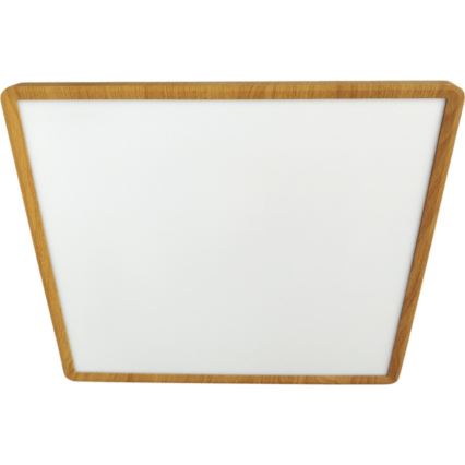 LED Stropní svítidlo LED/40W/230V 3000/4000/6500K 50x50 cm béžová