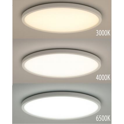 LED Stropní svítidlo LED/40W/230V 3000/4000/6500K pr. 50 cm bílá