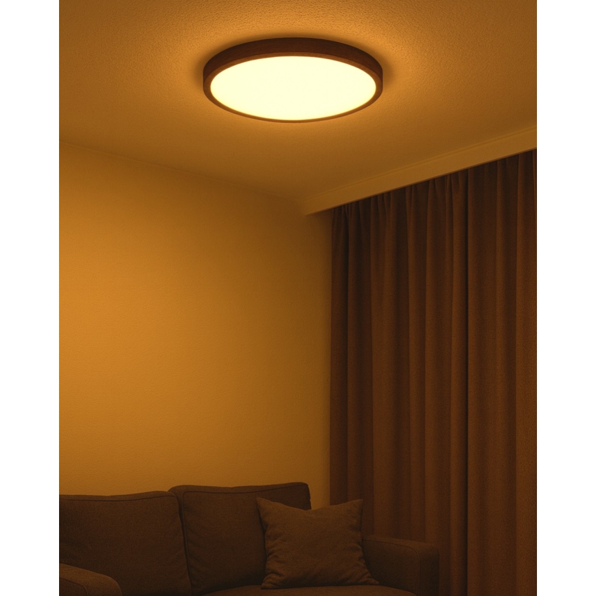 LED Stropní svítidlo LED/40W/230V 3000/4000/6500K pr. 50 cm hnědá
