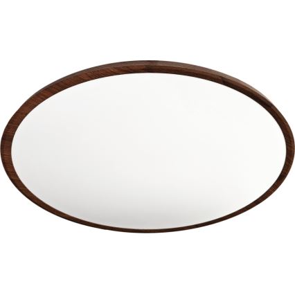 LED Stropní svítidlo LED/40W/230V 3000/4000/6500K pr. 50 cm hnědá