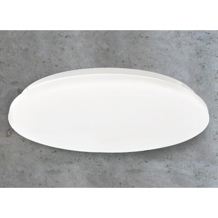 LED Stropní svítidlo LED/45W/230V 3000K/4000K/6400K pr. 48 cm bílá