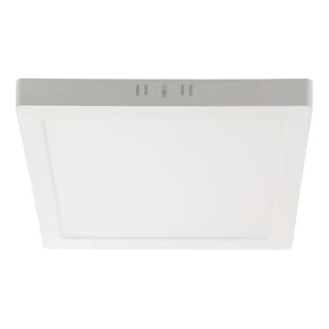LED Stropní svítidlo LED/6W/230V 3000K 12x12 cm bílá