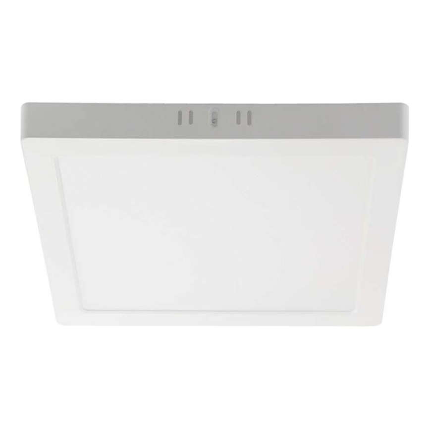 LED Stropní svítidlo LED/6W/230V 3000K 12x12 cm bílá